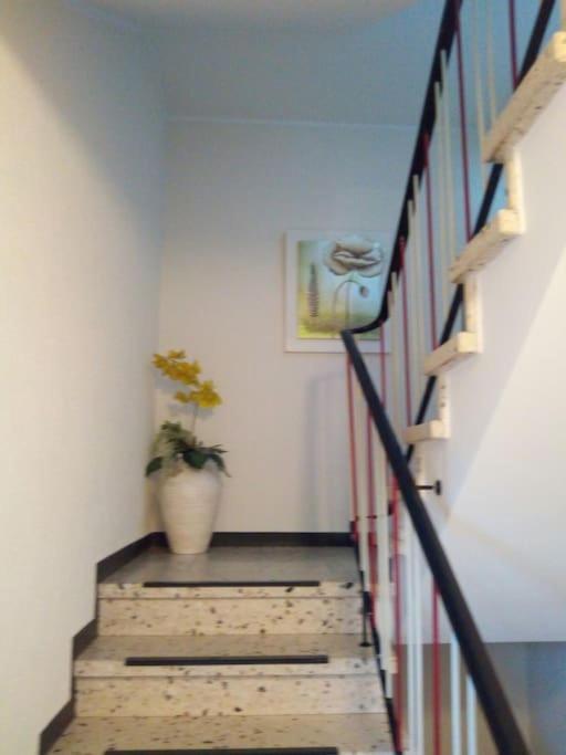 Ferienwohnung Marita Rietberg Bagian luar foto